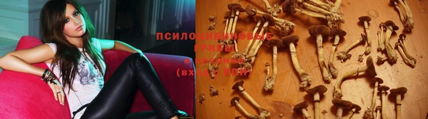 тгк Алексеевка