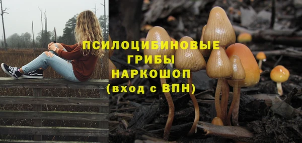 соль ск Абдулино