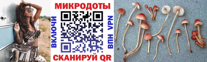 Псилоцибиновые грибы мухоморы  сколько стоит  Кашира 